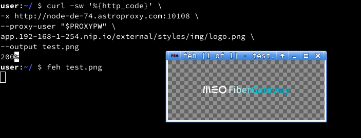 28.webp